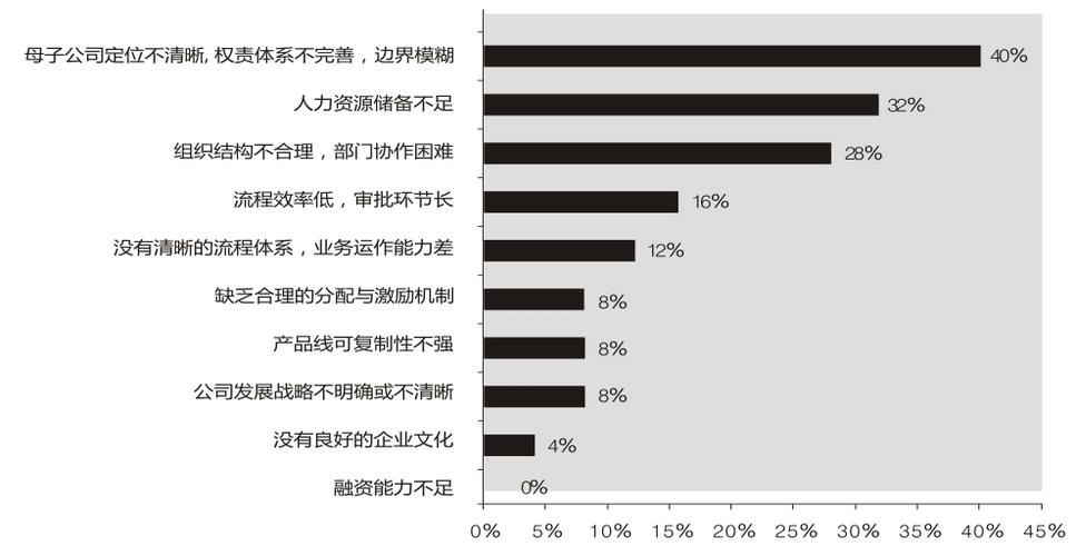 咨询服务 相关案例 jrj上市公司组织管控管理咨询案例该企业经过多年