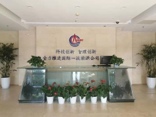 青岛cnas认证机构 中实国联 cnas认证